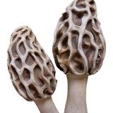 Статуэтка два гриба