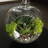 Флорариум в форме стеклянной тыквы