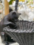 Фигурка интерьерная Кошка с Корзинкой