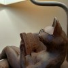 Лампа настольная читающий кот