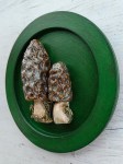 Панно настенное Сморчки