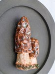 Настенное панно с грибочками