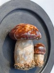 Настенное панно с грибочками