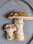 Настенное панно с грибочками