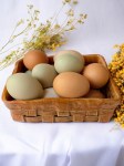 Ваза керамическая в форме плетеной корзинки